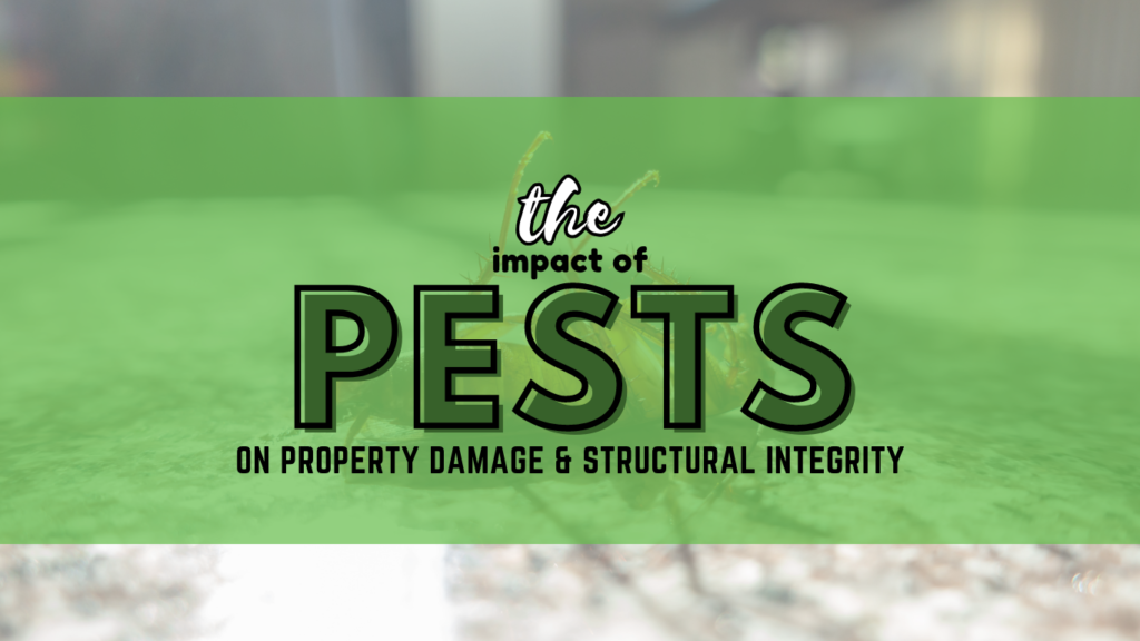 impact of pests