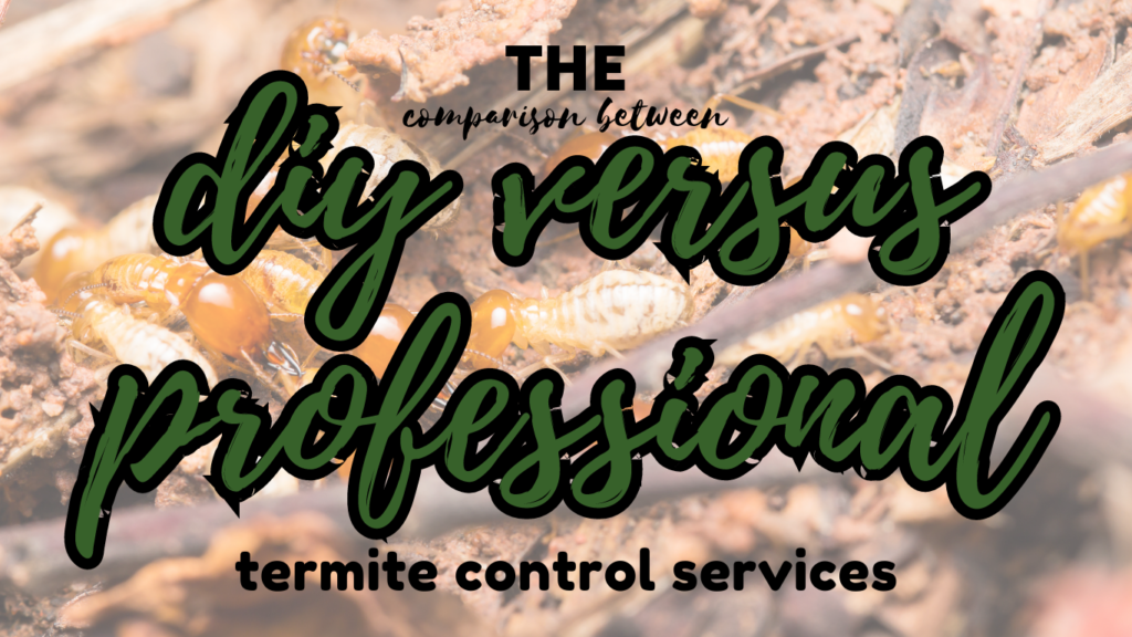 DIY vs professional termite control services