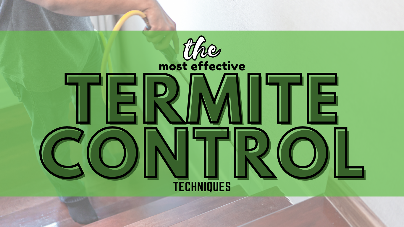 The Secret is OUT: Effective Termite Control Techniques - Lookout Pest ...