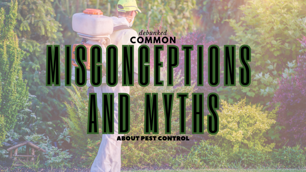 Common misconceptions and myths about pest control
