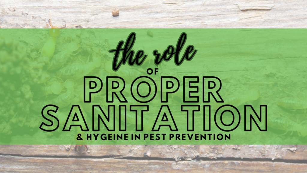 role of proper sanitation and hygiene in pest prevention