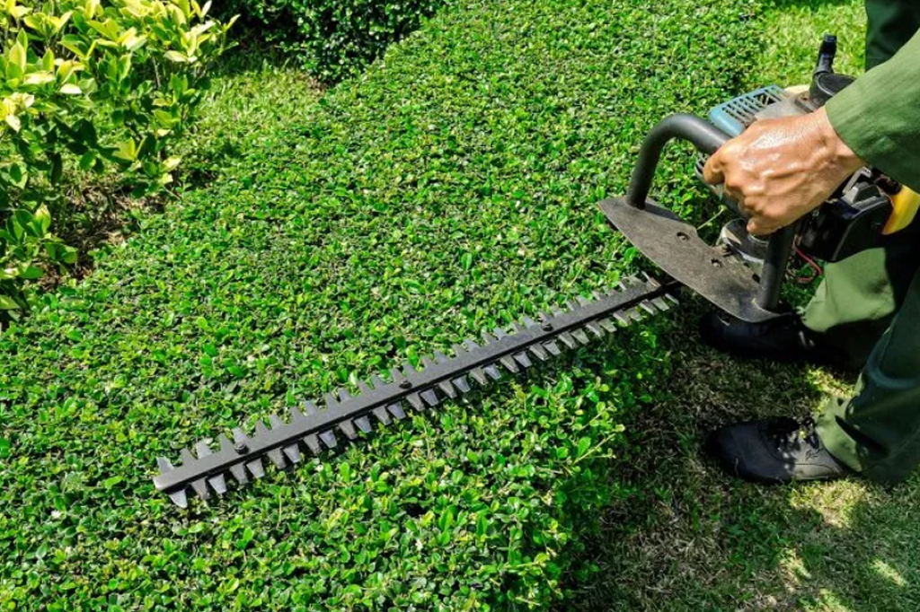 Trimming hedges