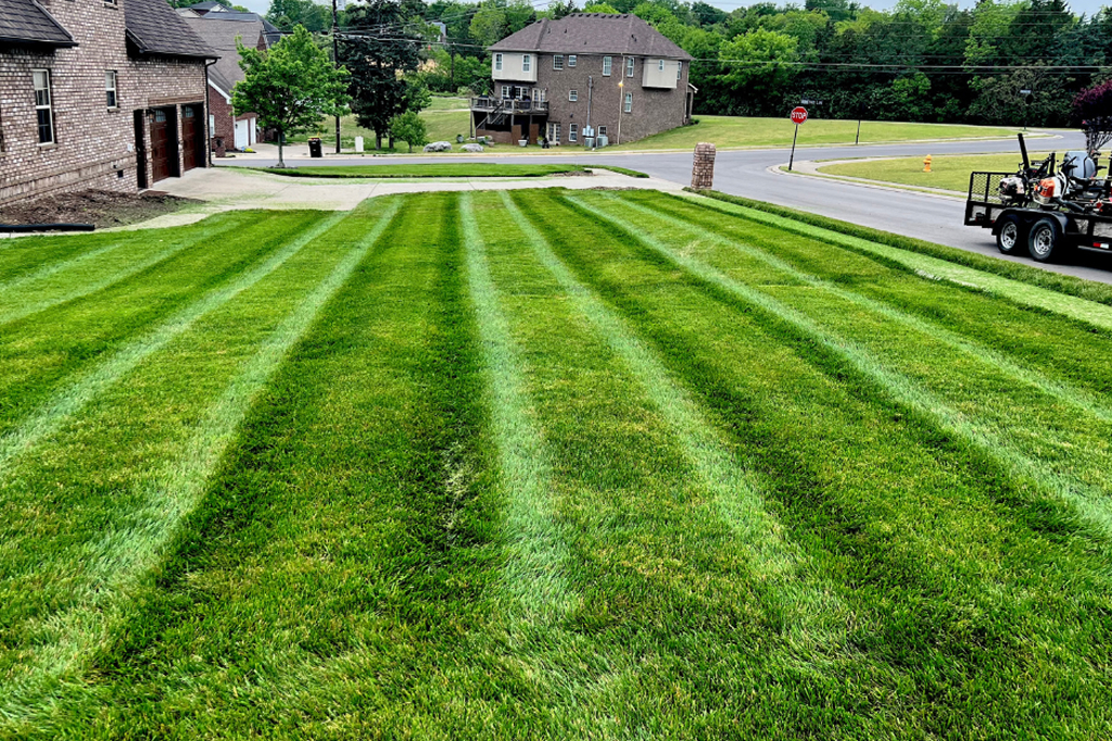 Lawn Care Example Image 5