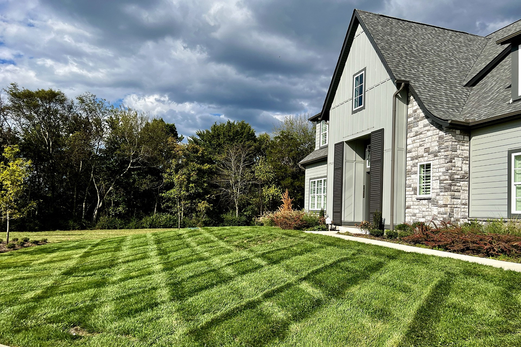 Lawn Care Example Image 4